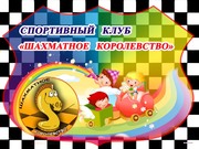 Шахматы