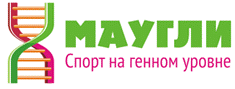 Домашние и дачные спортивные комплексы со склада в Челябинске!