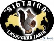 Прокат туристического инвентаря Абакан,  прокат электроинструмента в Абакане